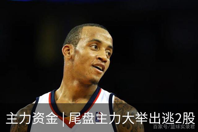 主力资金 | 尾盘主力大举出逃2股