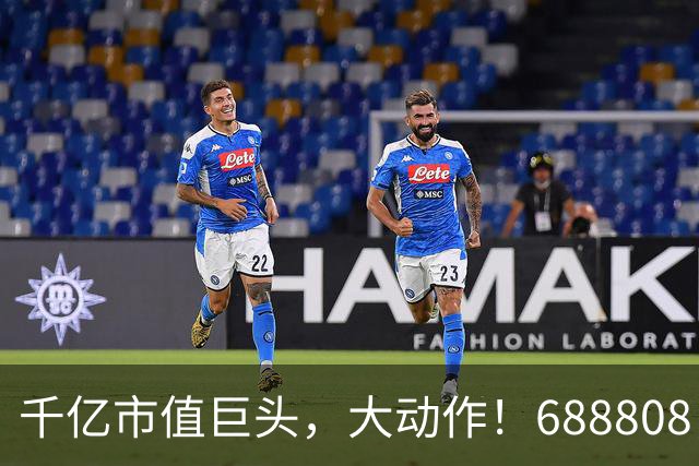 千亿市值巨头，大动作！688808，筹划赴港上市！