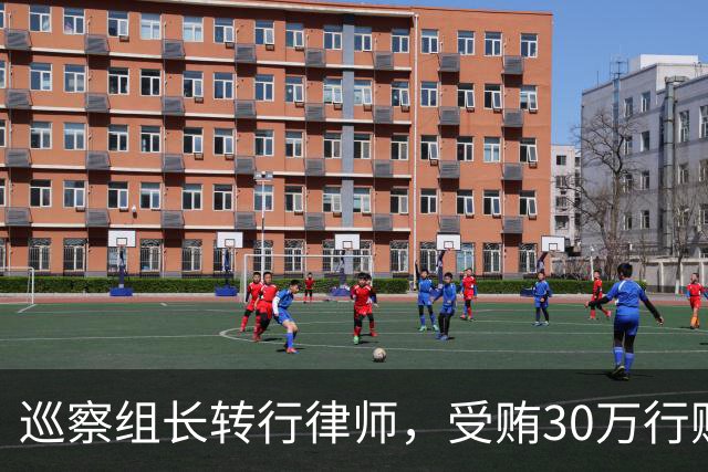 巡察组长转行律师，受贿30万行贿145万，被判4年半