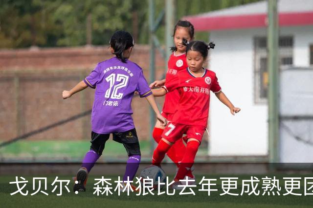 戈贝尔：森林狼比去年更成熟更团结 希望到五六月能应对任何挑战