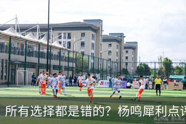 所有选择都是错的？杨鸣犀利点评崔永熙 他的话不一定全对