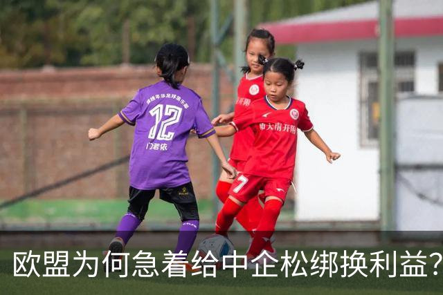 欧盟为何急着给中企松绑换利益？