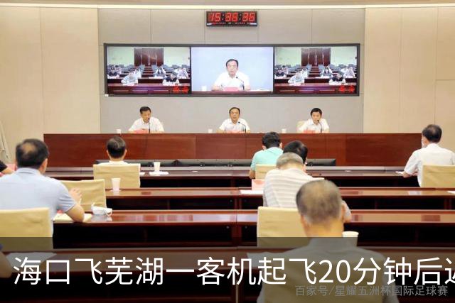海口飞芜湖一客机起飞20分钟后返航，桂林航空：空中遇飞鸟撞击，需全面检查