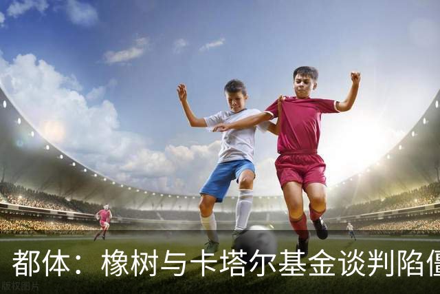 都体：橡树与卡塔尔基金谈判陷僵局，国米少数股权估值分歧显著